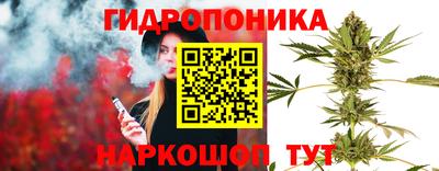 spice Гатчина
