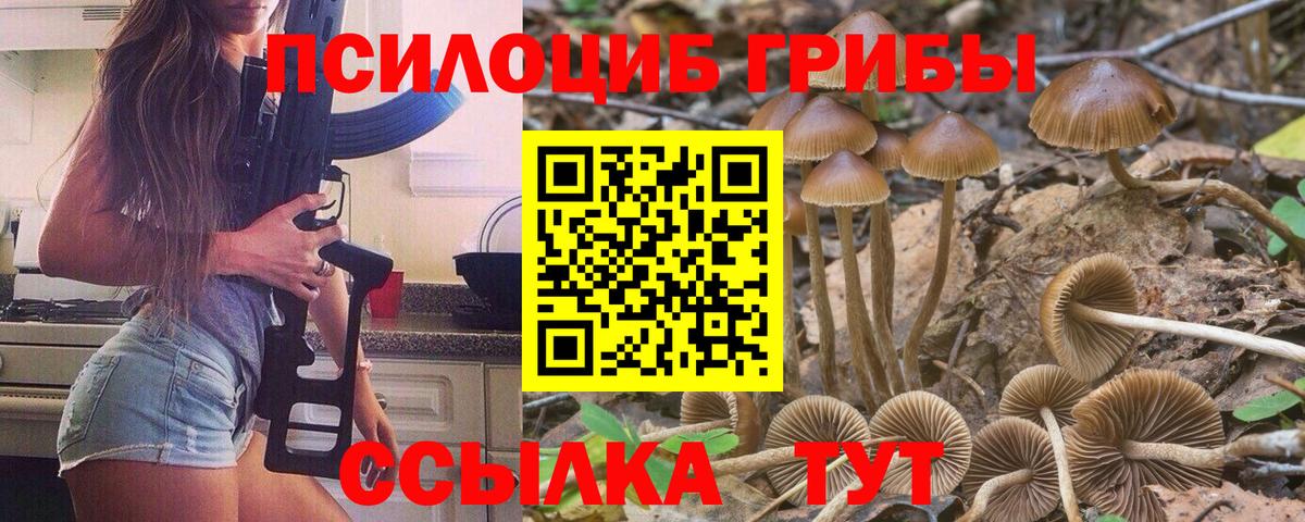 Мелеуз  Псилоцибиновые грибы Psilocybe  Вход с VPN 